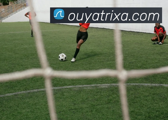 欧亚体育平台生态图